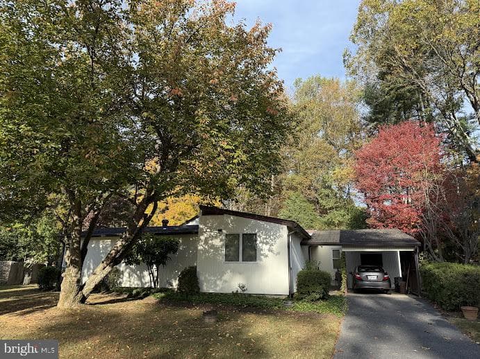 14 Cherry Grove photo 52