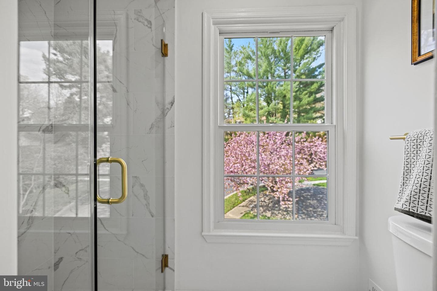 5 Solitaire Court photo 15
