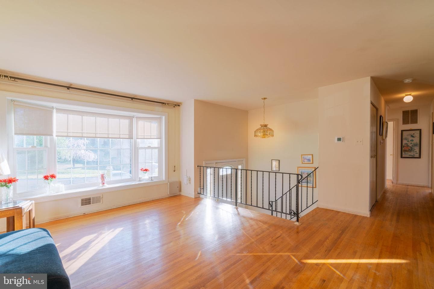 4709 Iris Place photo 16