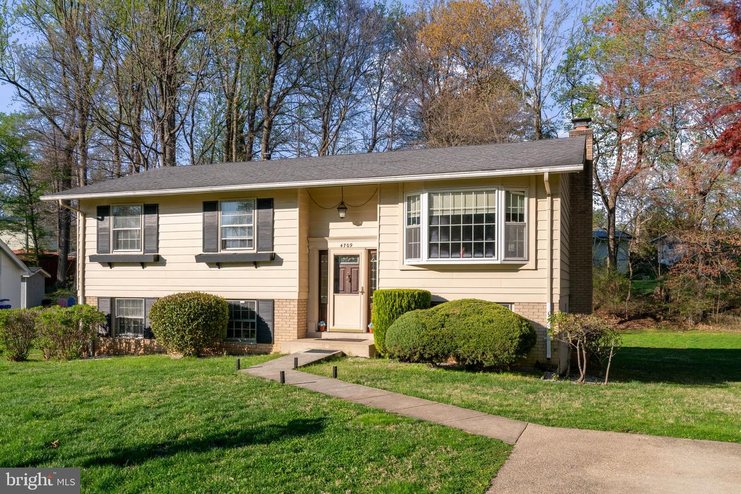 4709 Iris Place photo 2