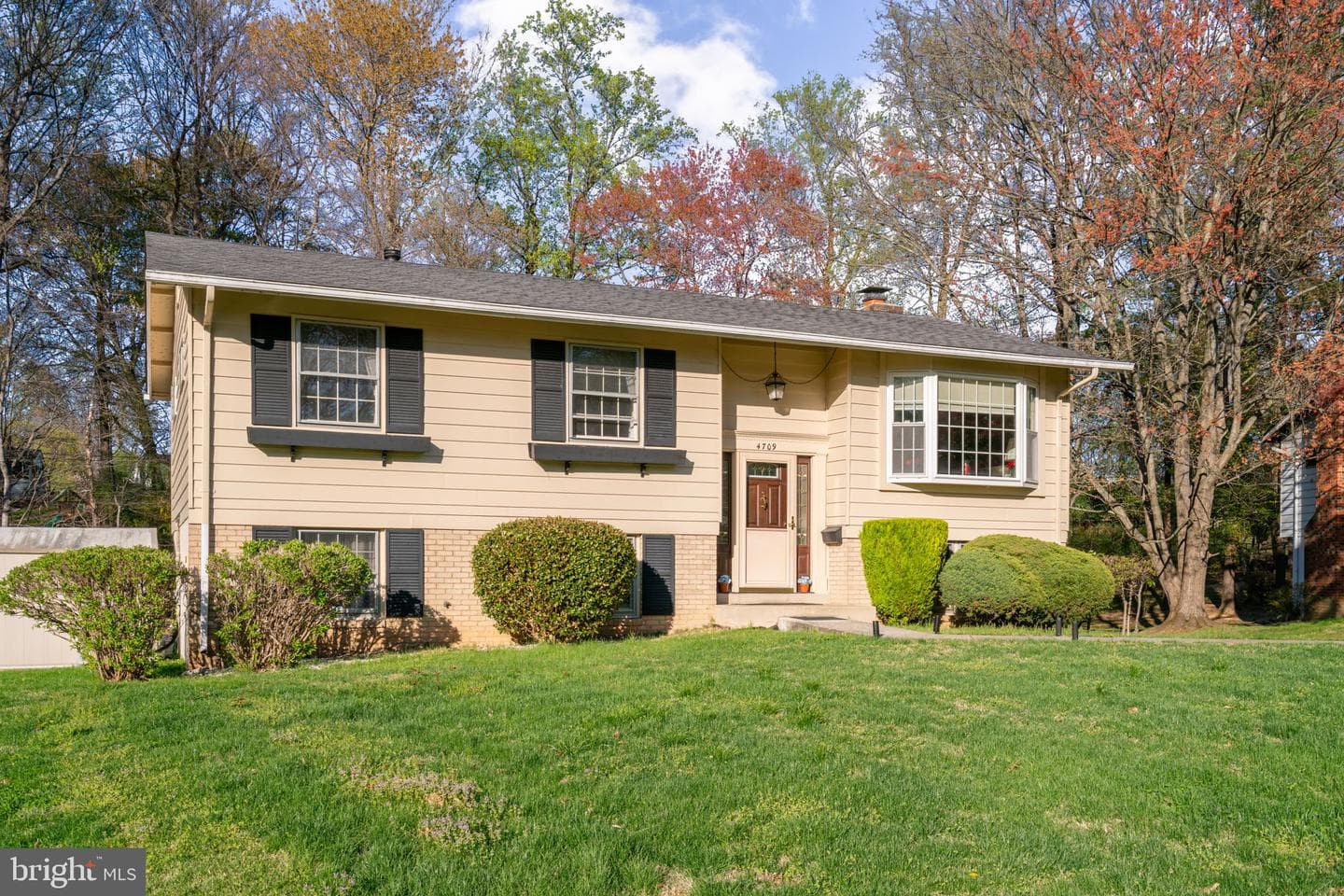 4709 Iris Place photo 4