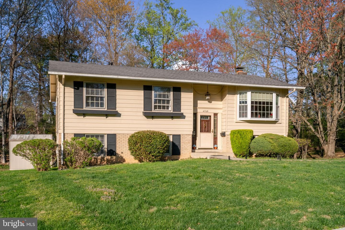 4709 Iris Place photo 5