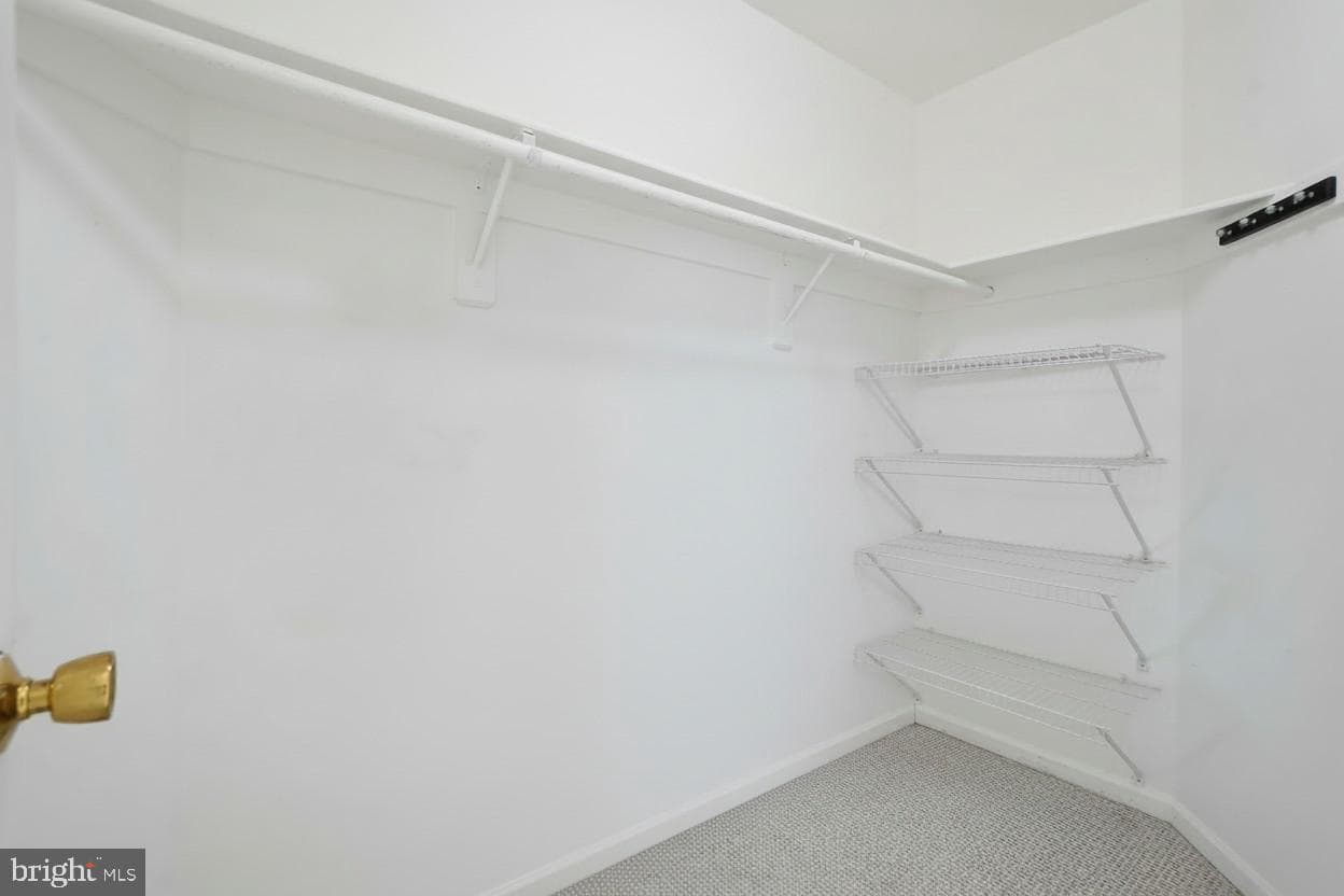 4 Leatherbark Court photo 33