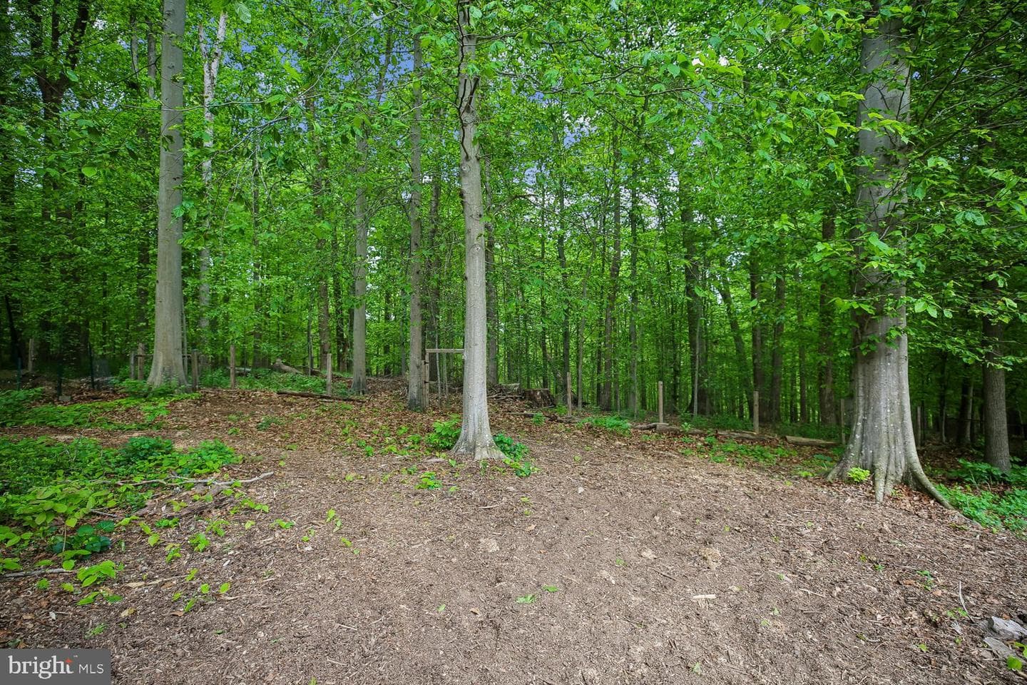 13714 Drake Drive photo 82