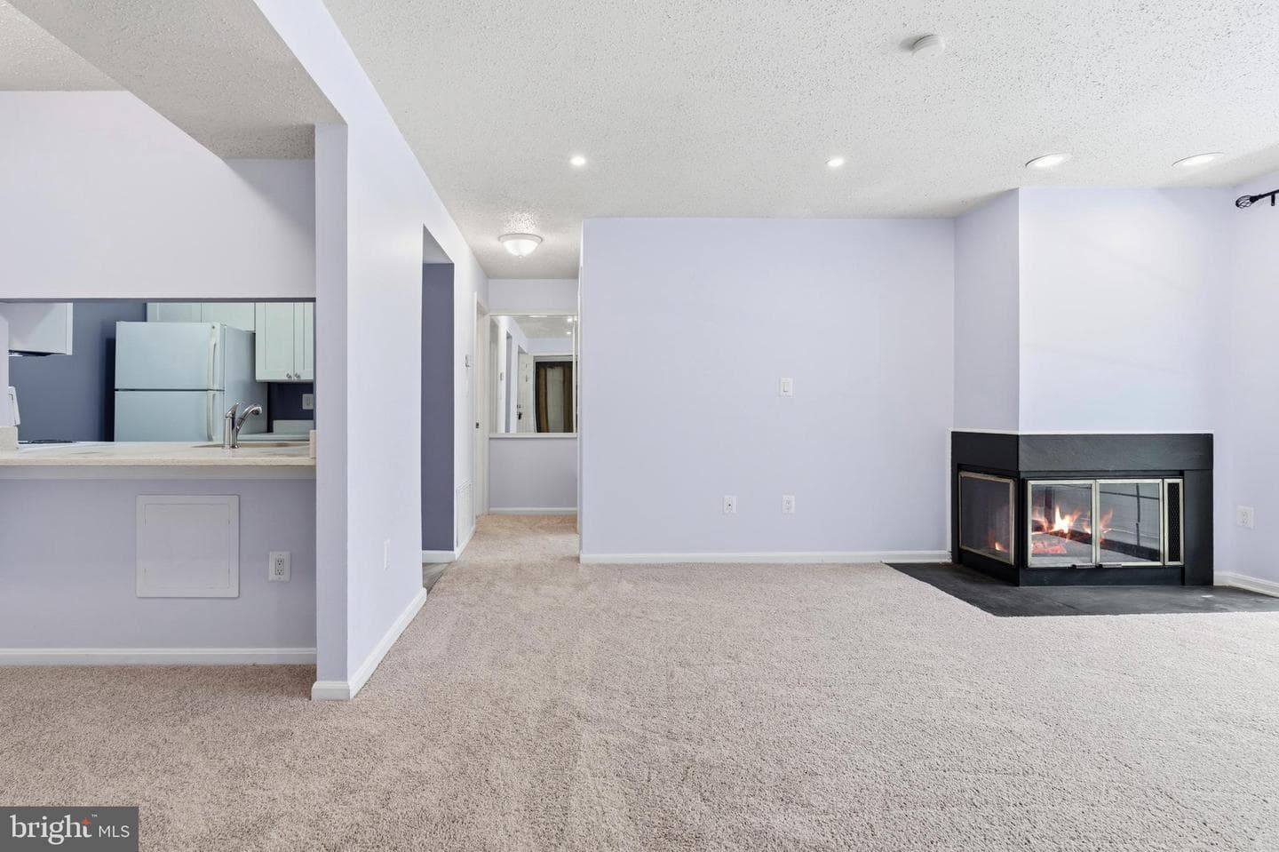 1637 Carriage House Terrace #i photo 11