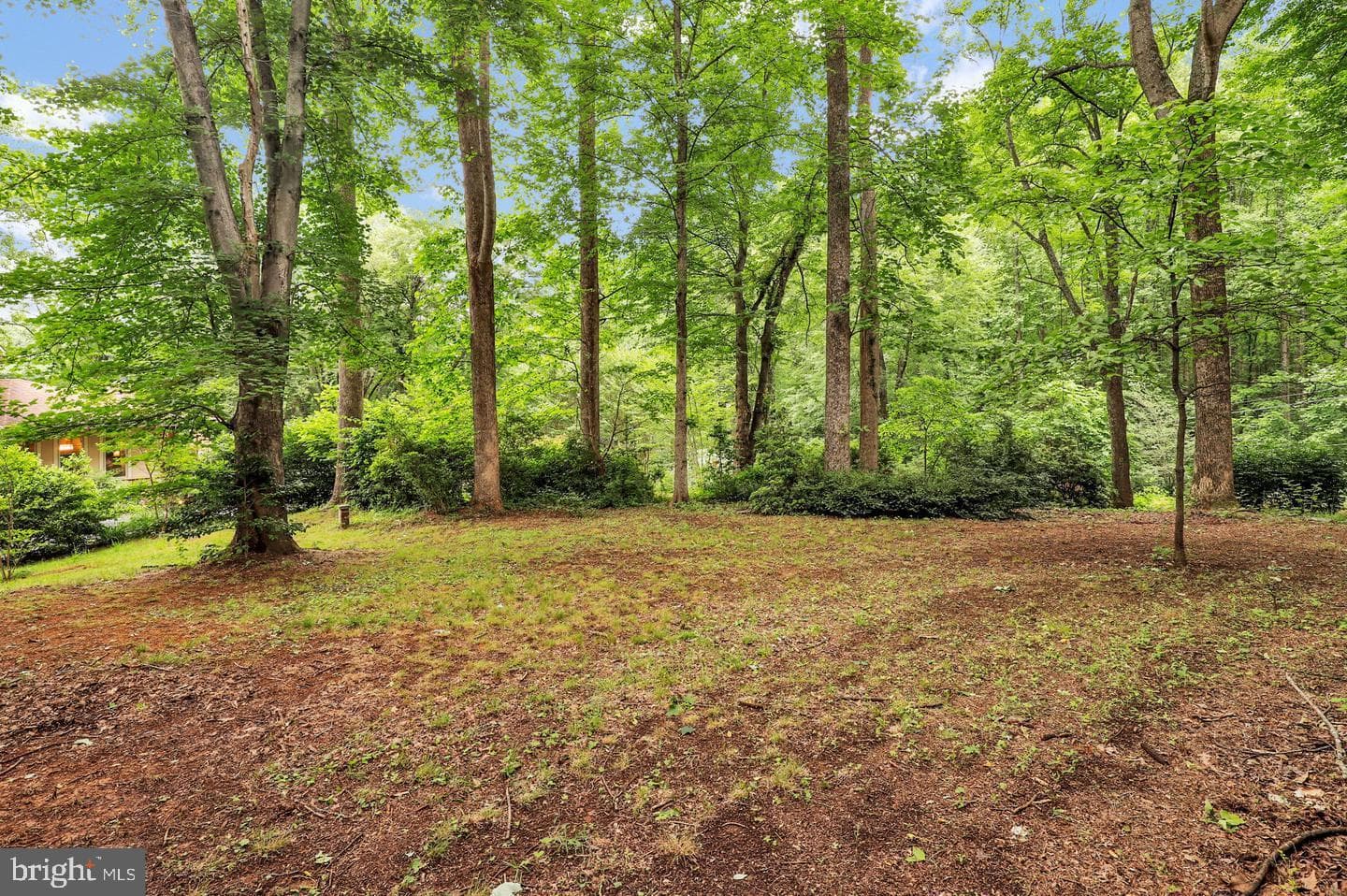 16420 Black Rock Road photo 83