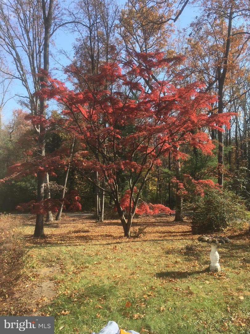 9010 Bradgrove photo 6