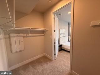 9756 Windflower Way photo 67