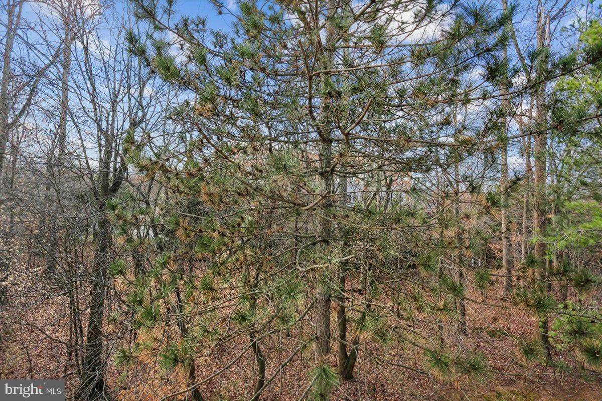12708 Found Stone Road #3-302 photo 14