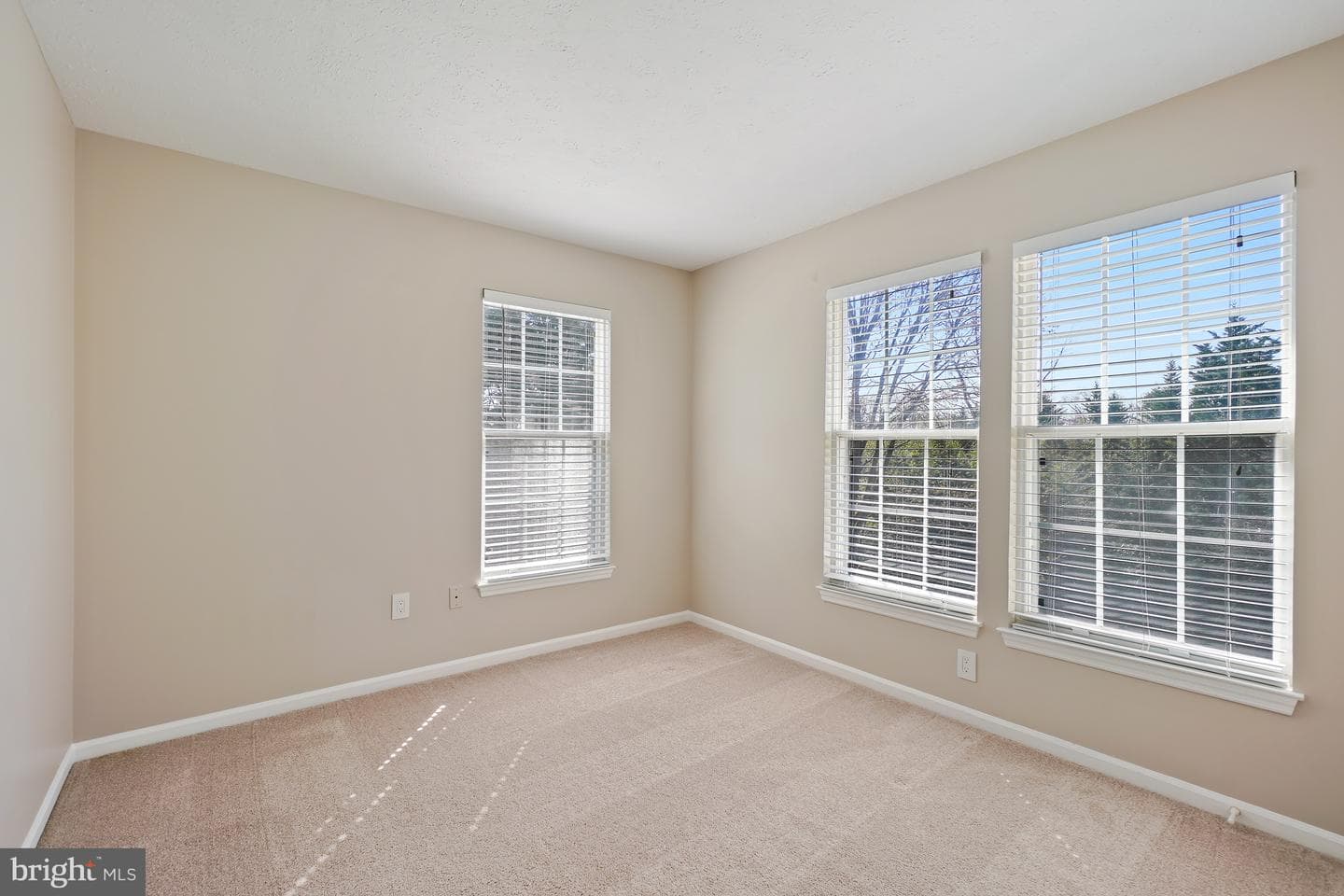15801 Seurat Drive photo 32