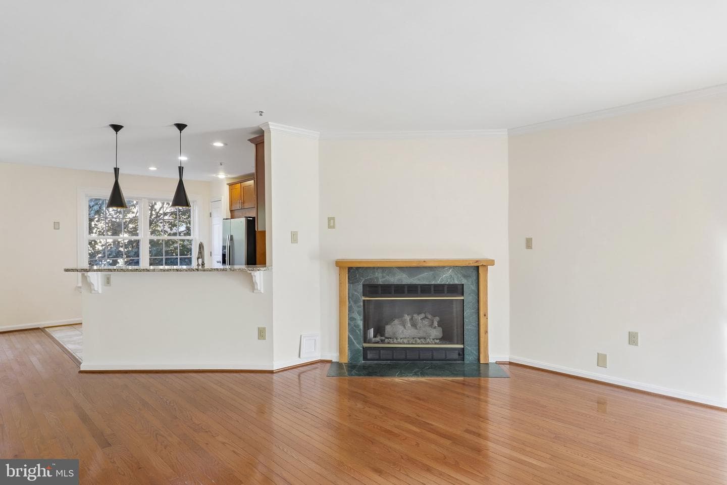14214 Plum Run Way photo 9