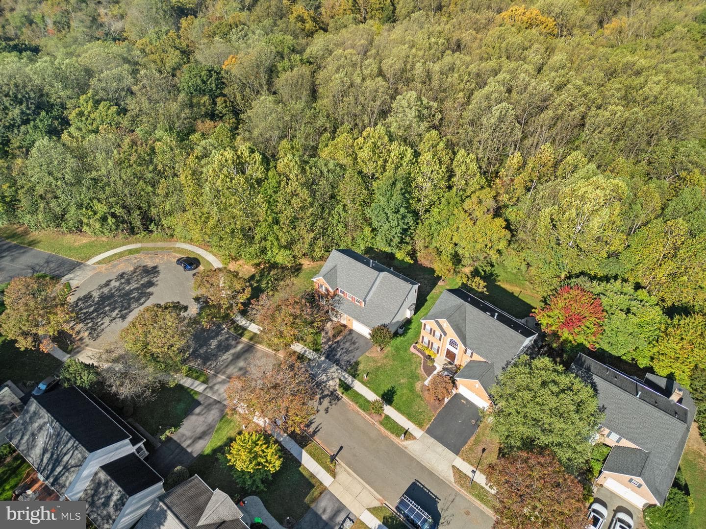 14123 Tattershall Place photo 64