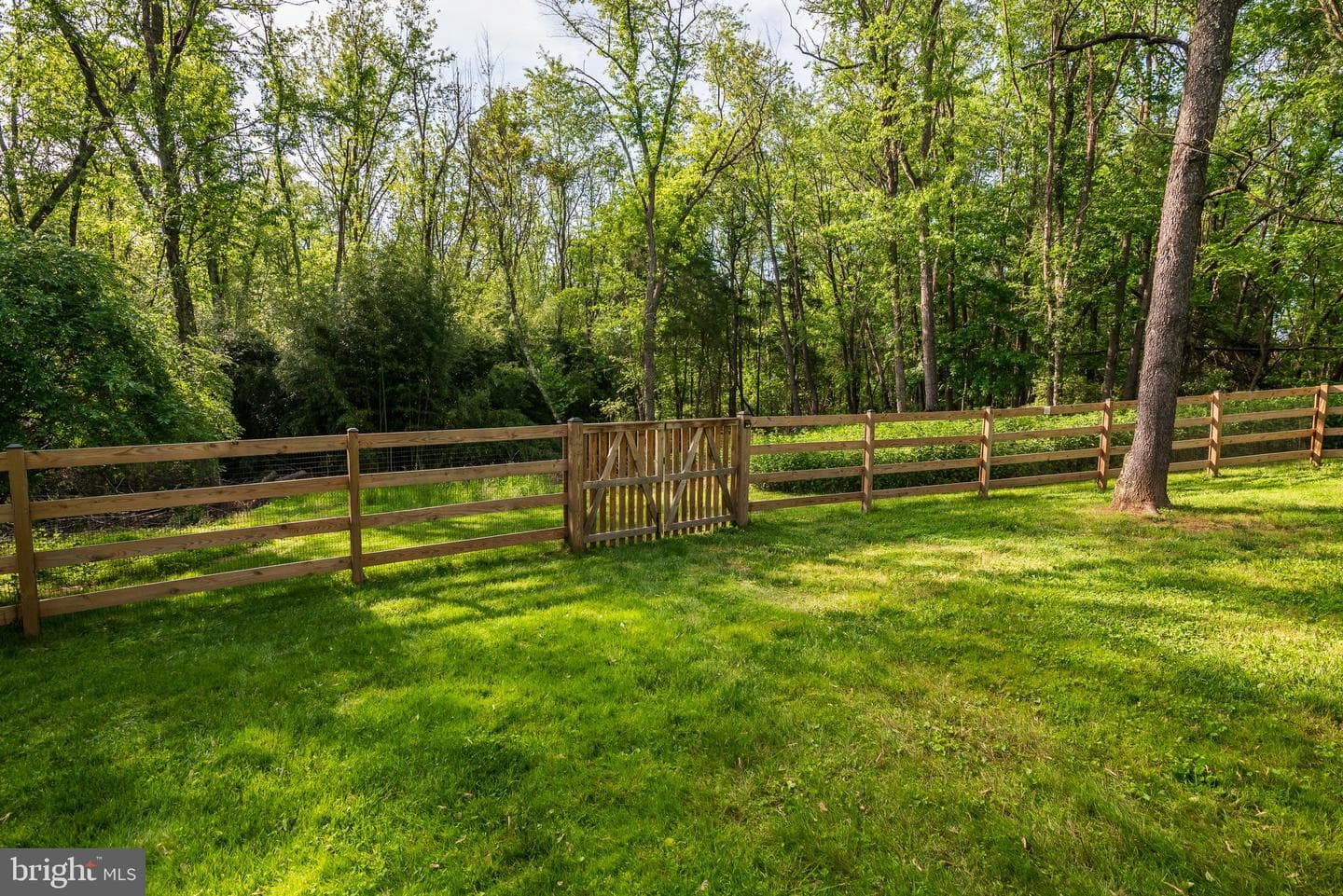 21624 Goshen Oaks Road photo 39