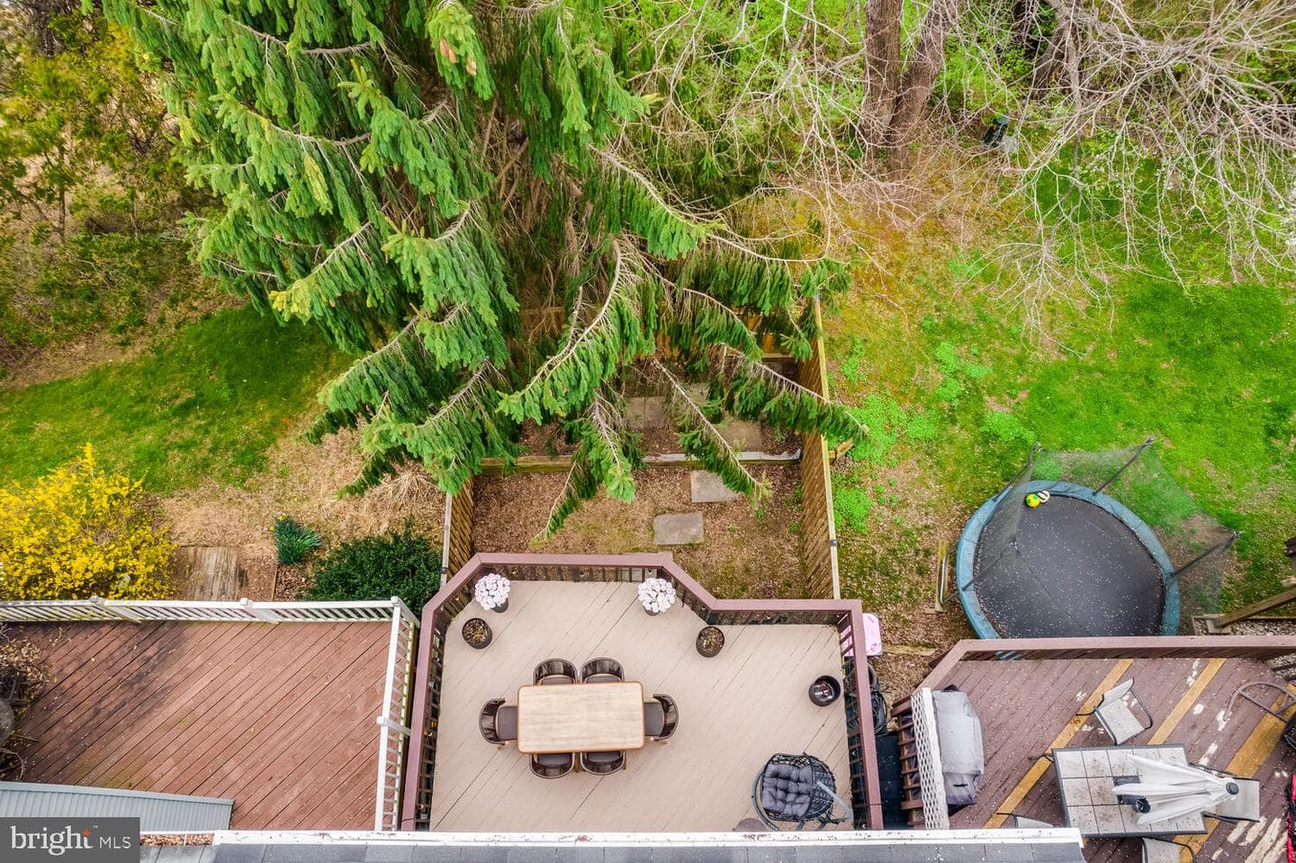 15602 Cliff Swallow Way photo 51