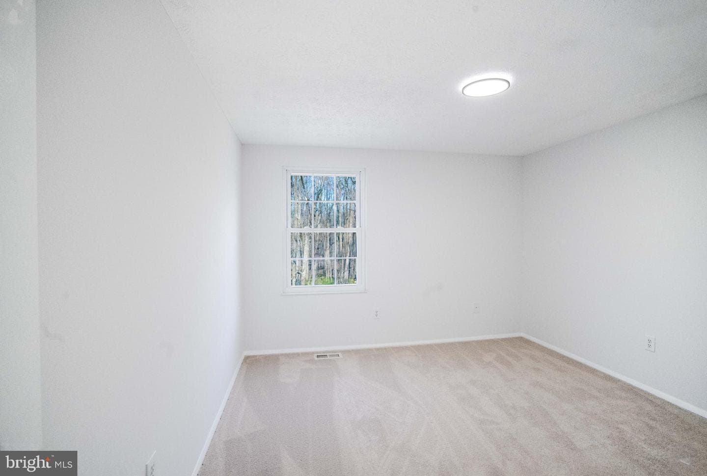 1316 Windmill Lane photo 38