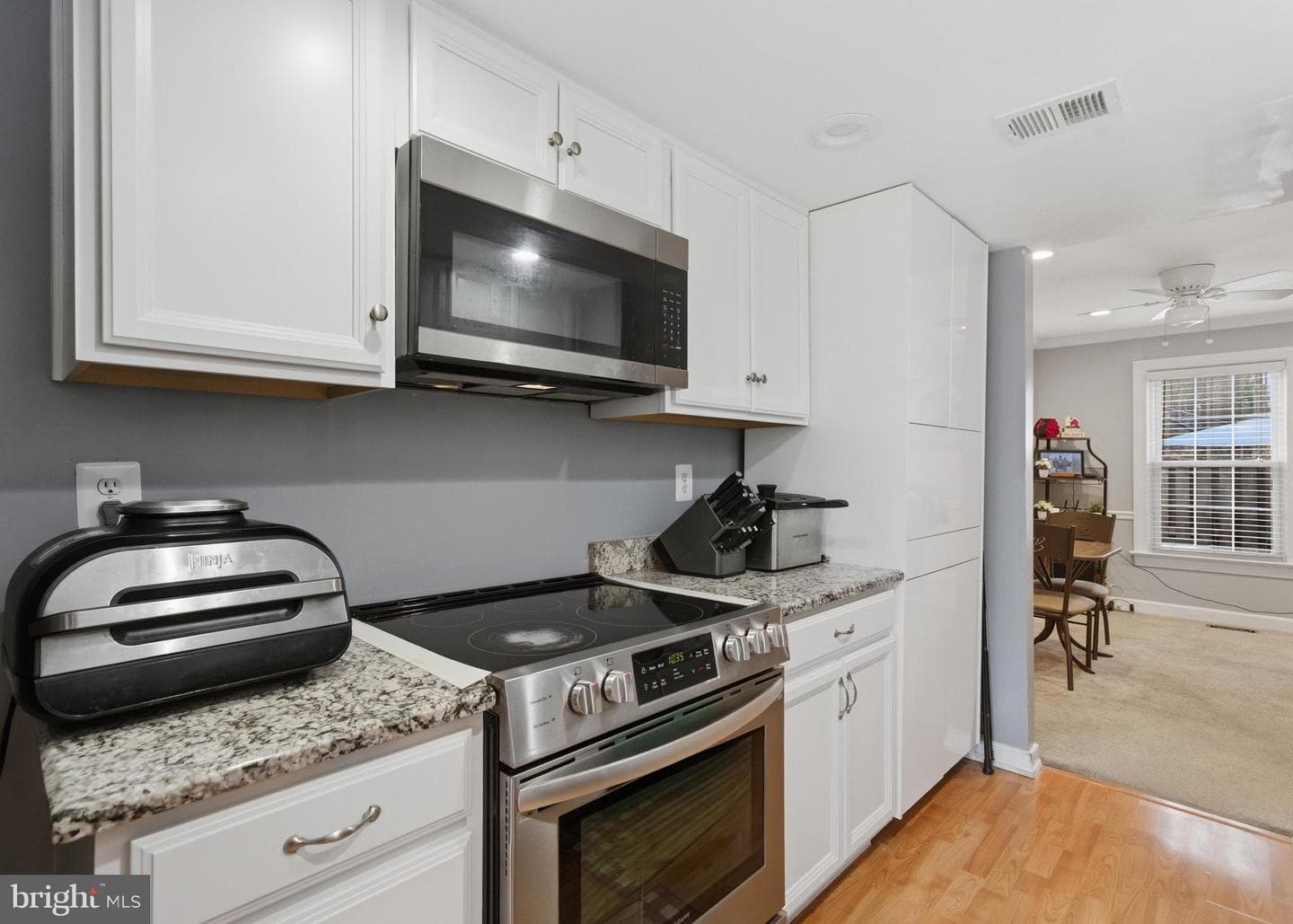 10025 Maple Leaf Drive photo 11