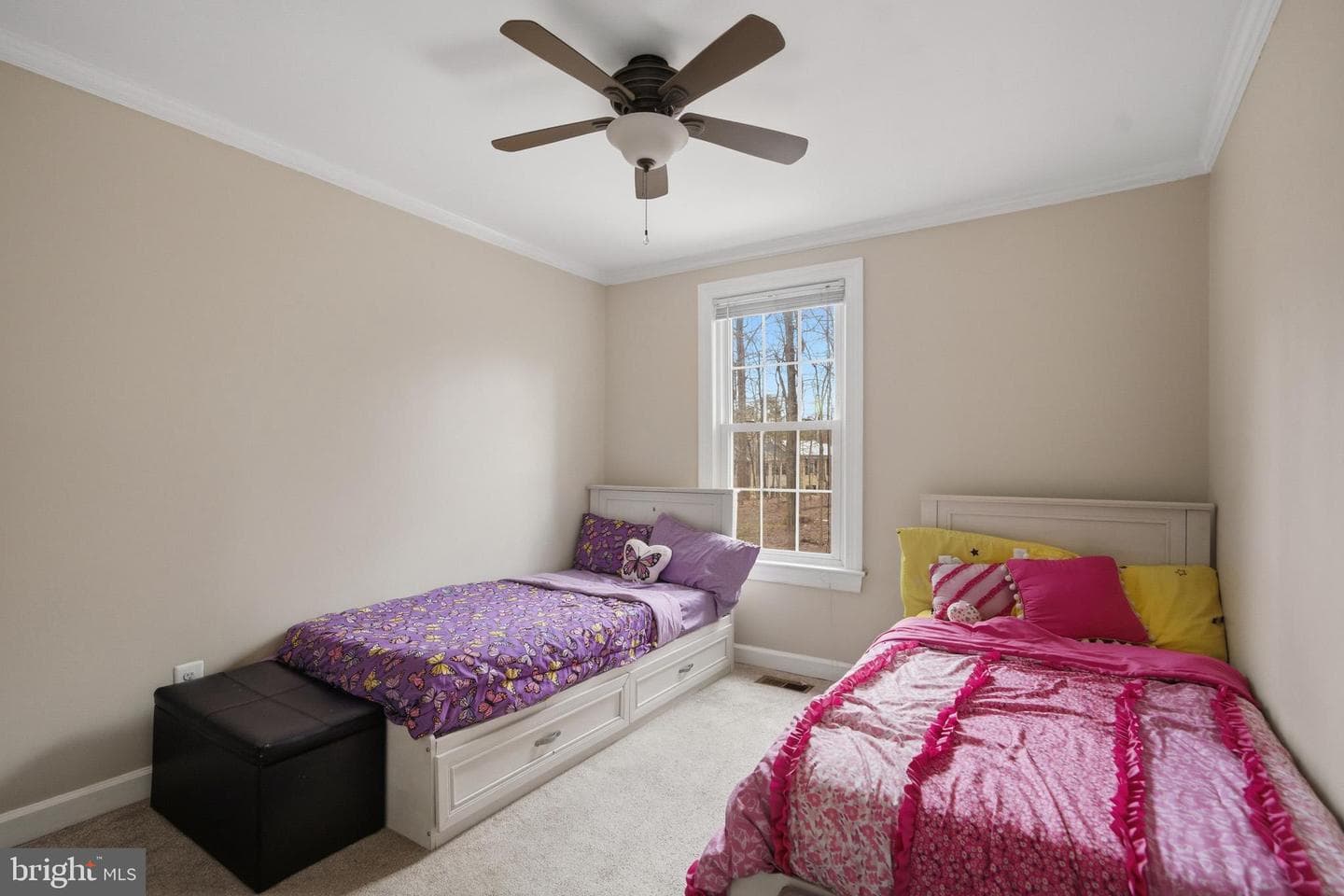 10025 Maple Leaf Drive photo 21