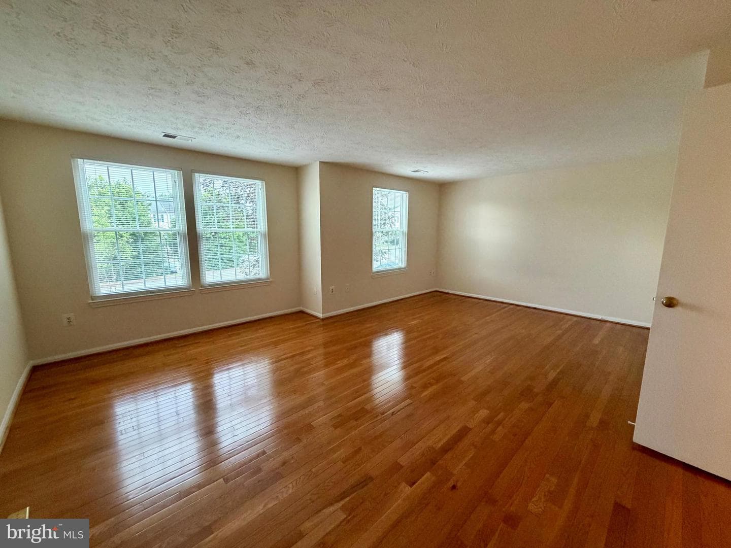 407 Palmtree Drive photo 21