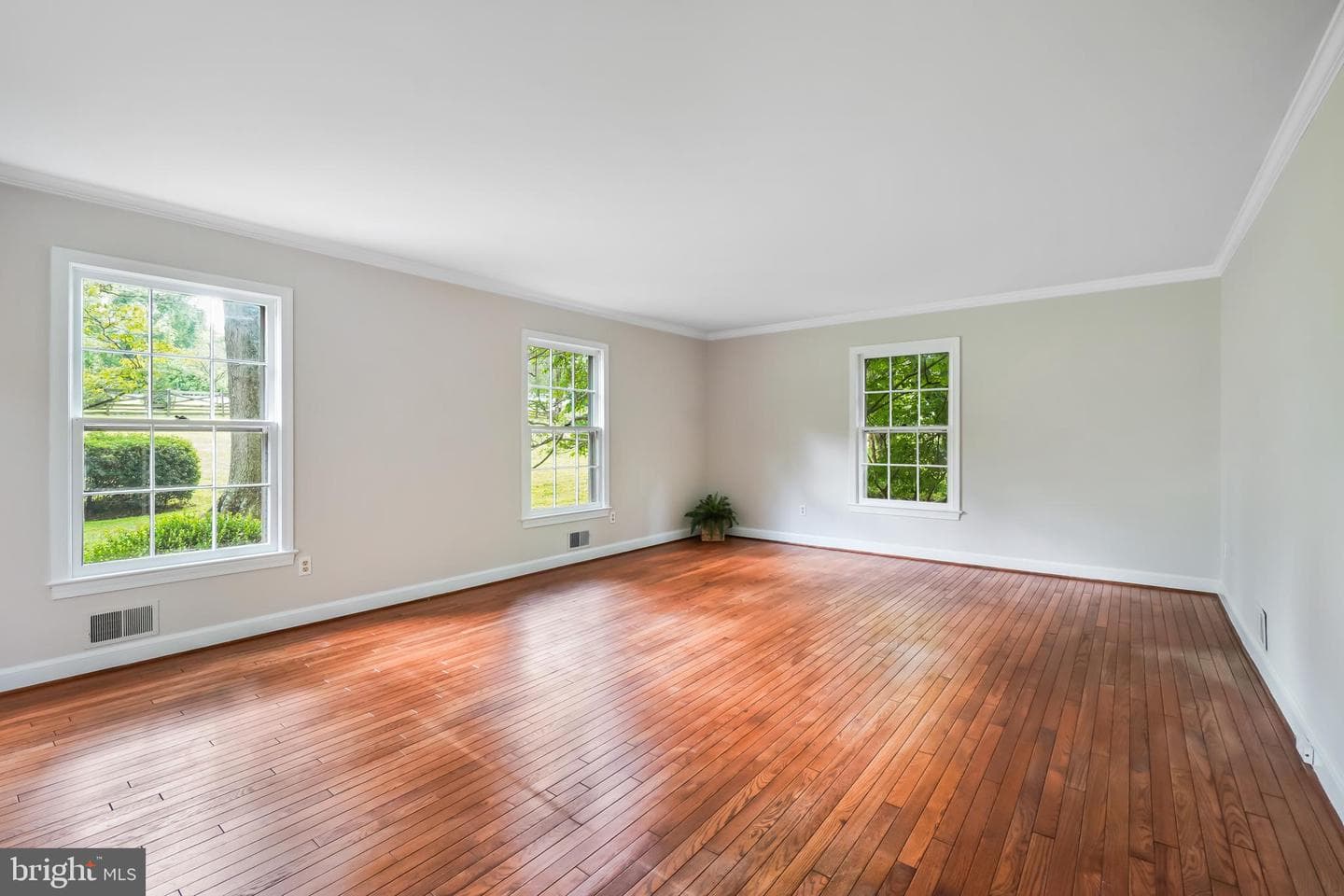13621 Esworthy Road photo 7
