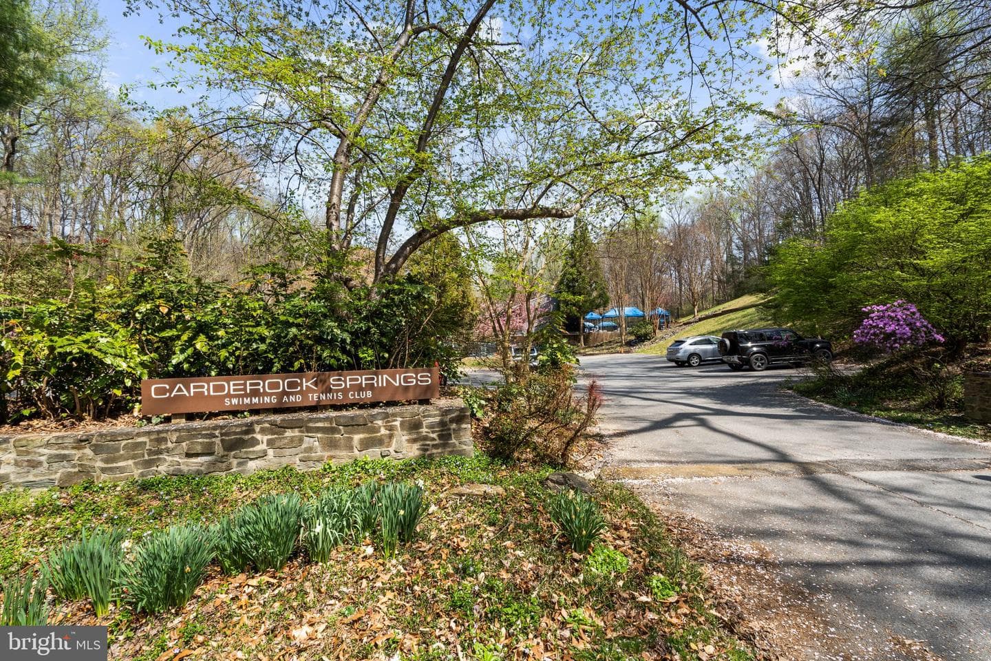 8201 Hamilton Spring Court photo 61
