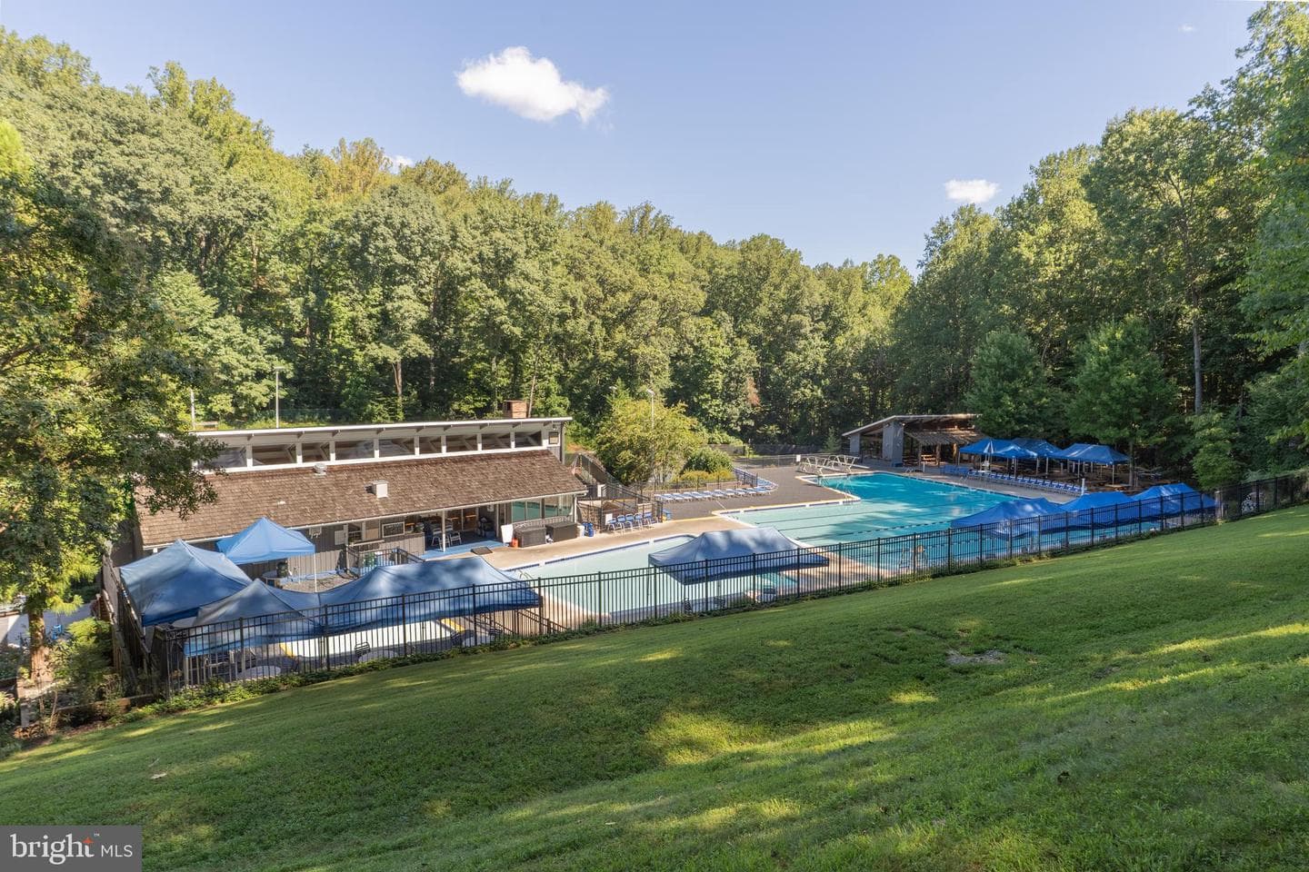 8201 Hamilton Spring Court photo 65