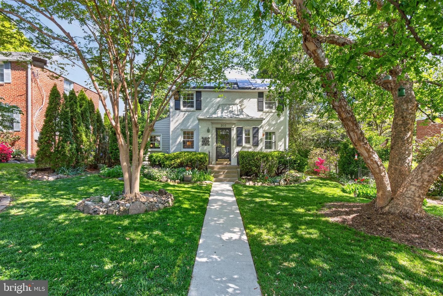 203 Baden Street photo 2