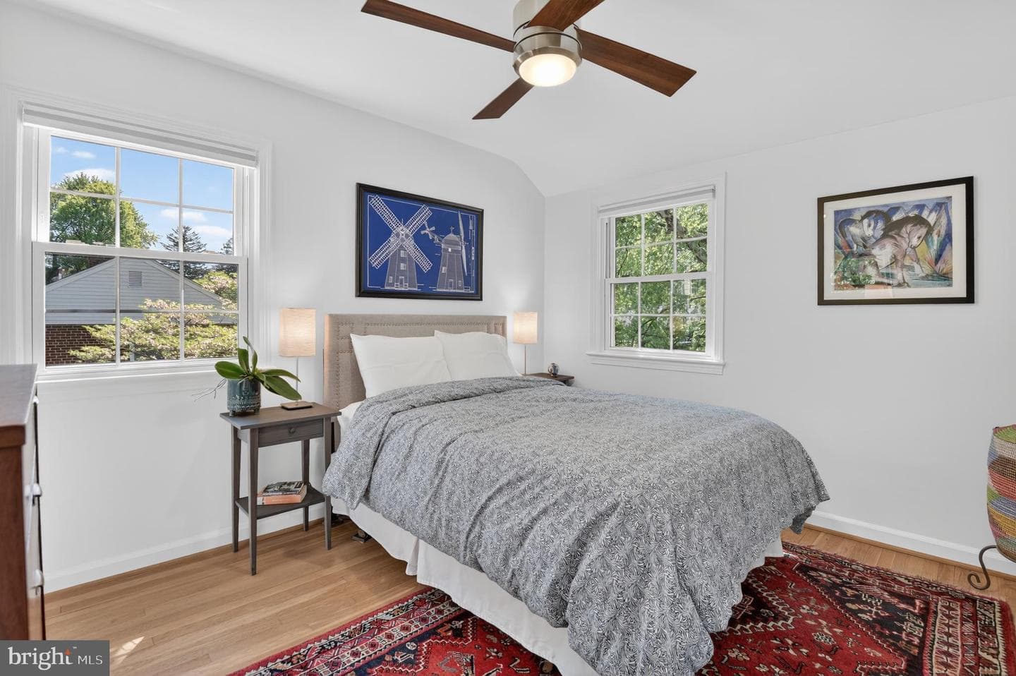 203 Baden Street photo 25
