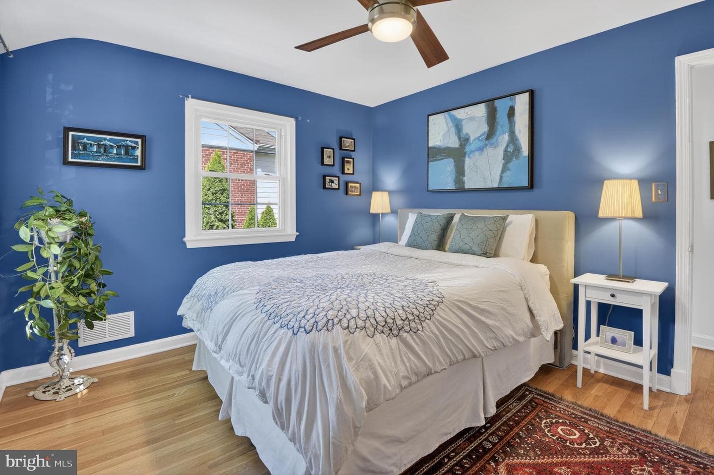 203 Baden Street photo 28