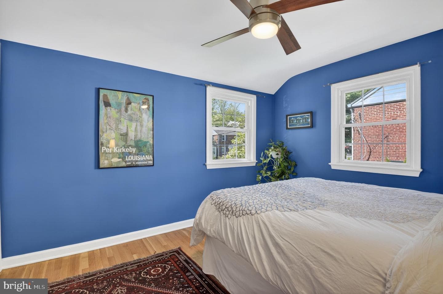 203 Baden Street photo 29