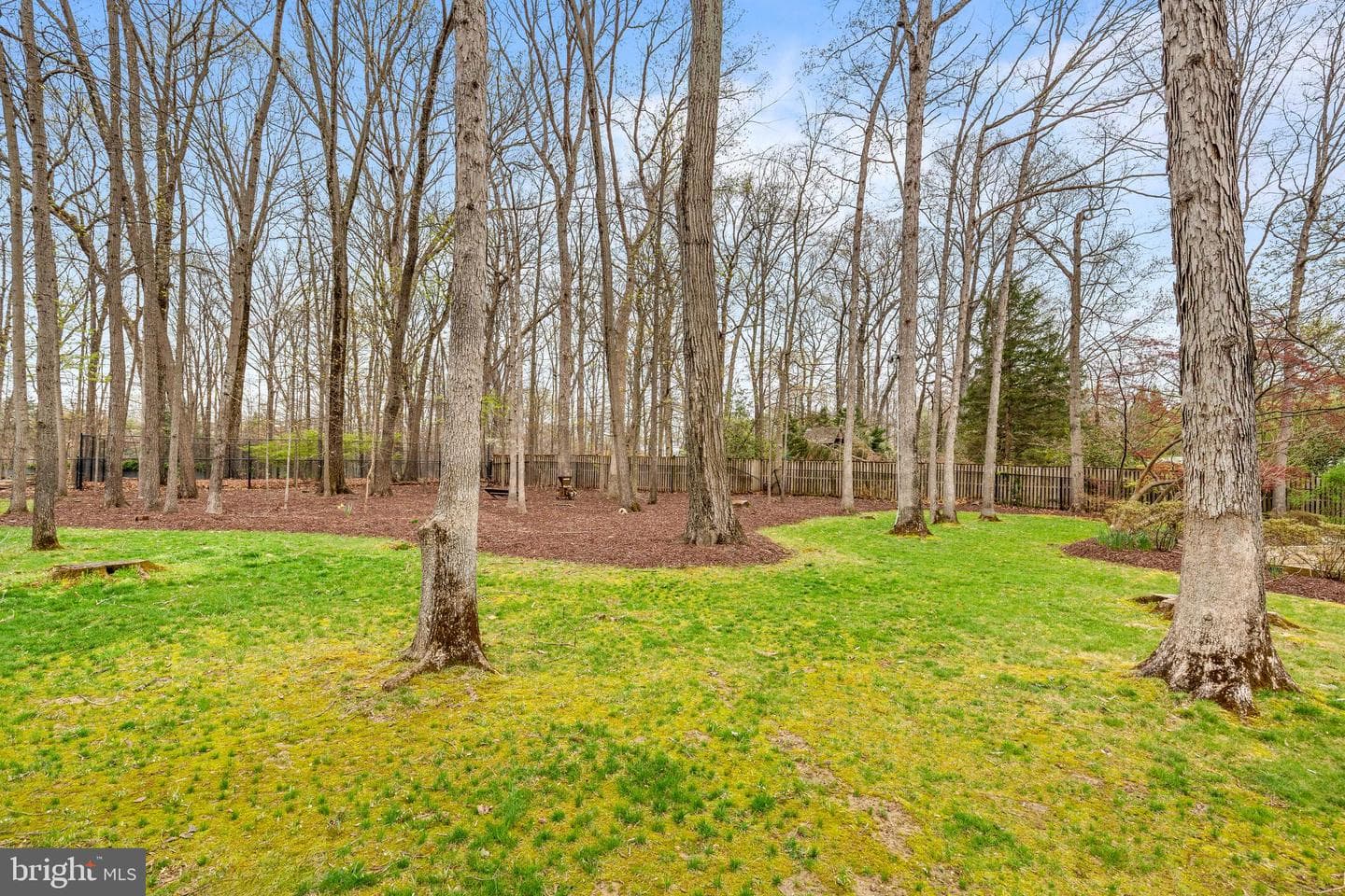 10204 Bentcross Drive photo 9