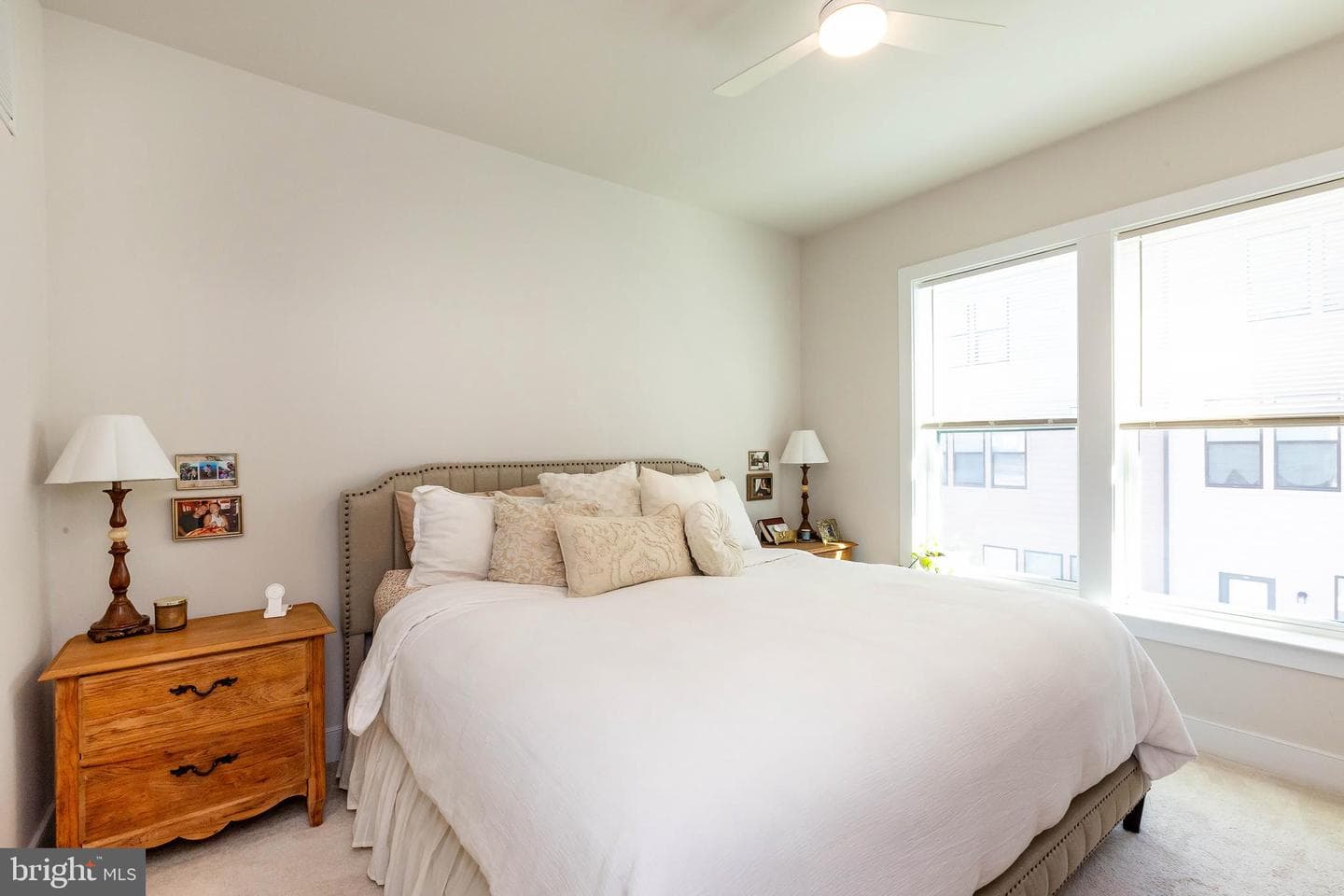 565 Shorthorn Way photo 15