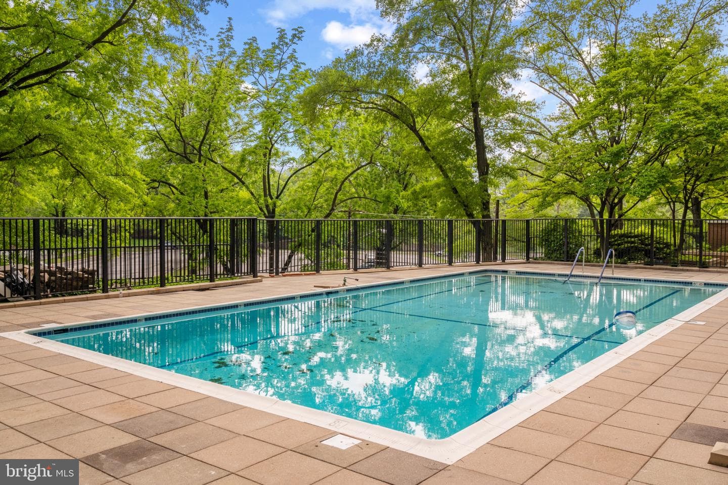 4620 N Park Avenue N #402w photo 37