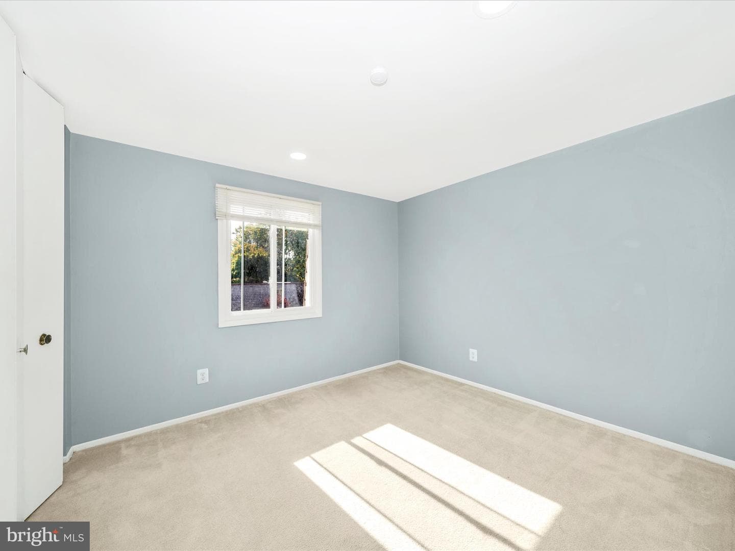 10513 Cambridge Court photo 42