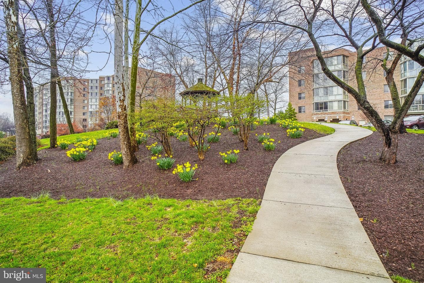 2904 N Leisure World Boulevard N #214 photo 26