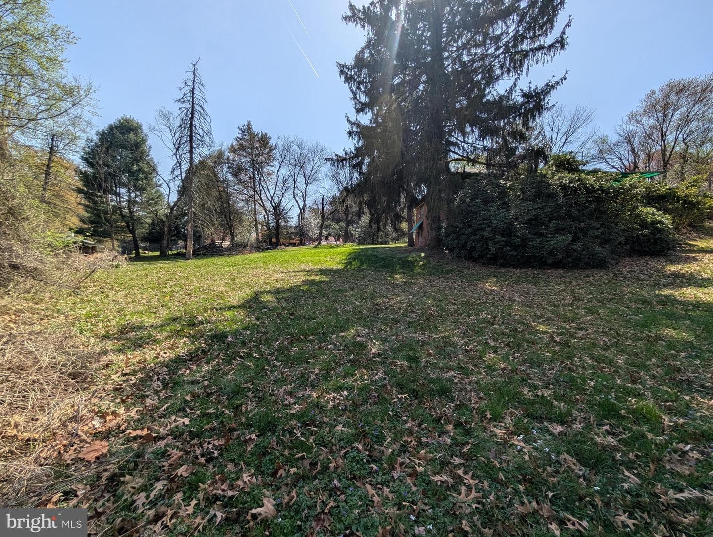 523 Copley Lane photo 14