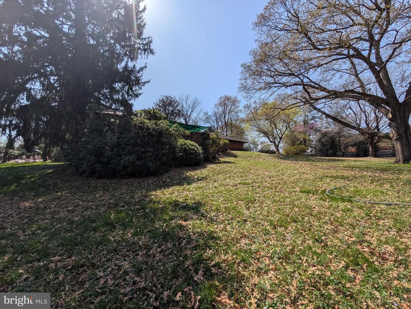 523 Copley Lane photo 16