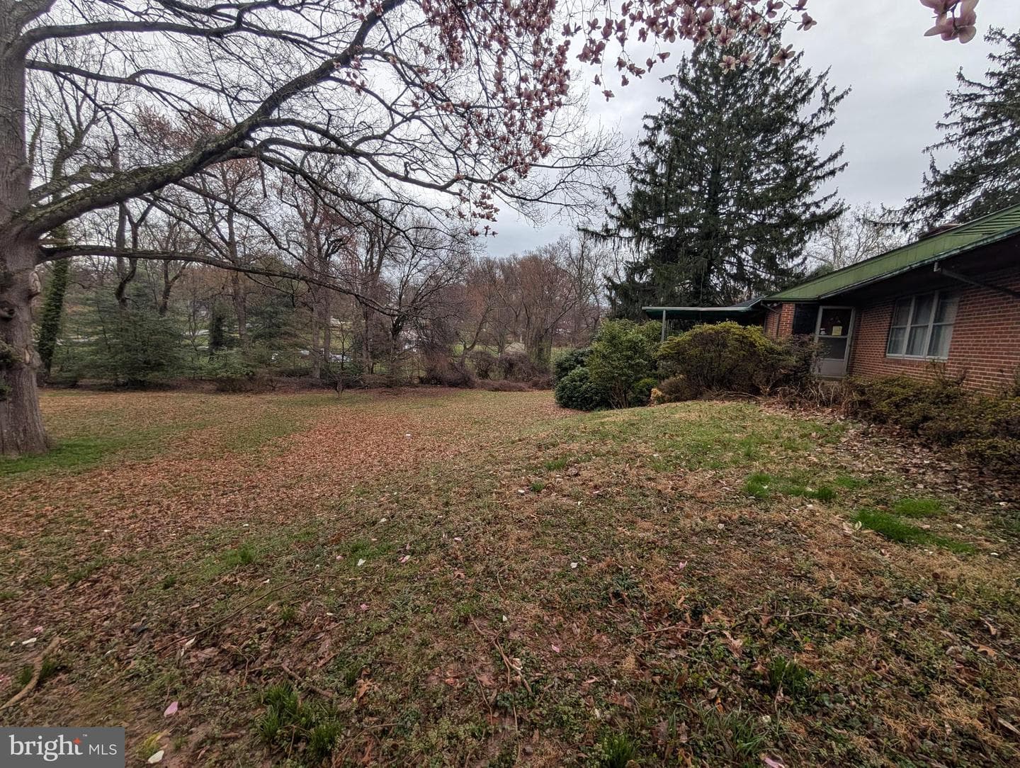 523 Copley Lane photo 5