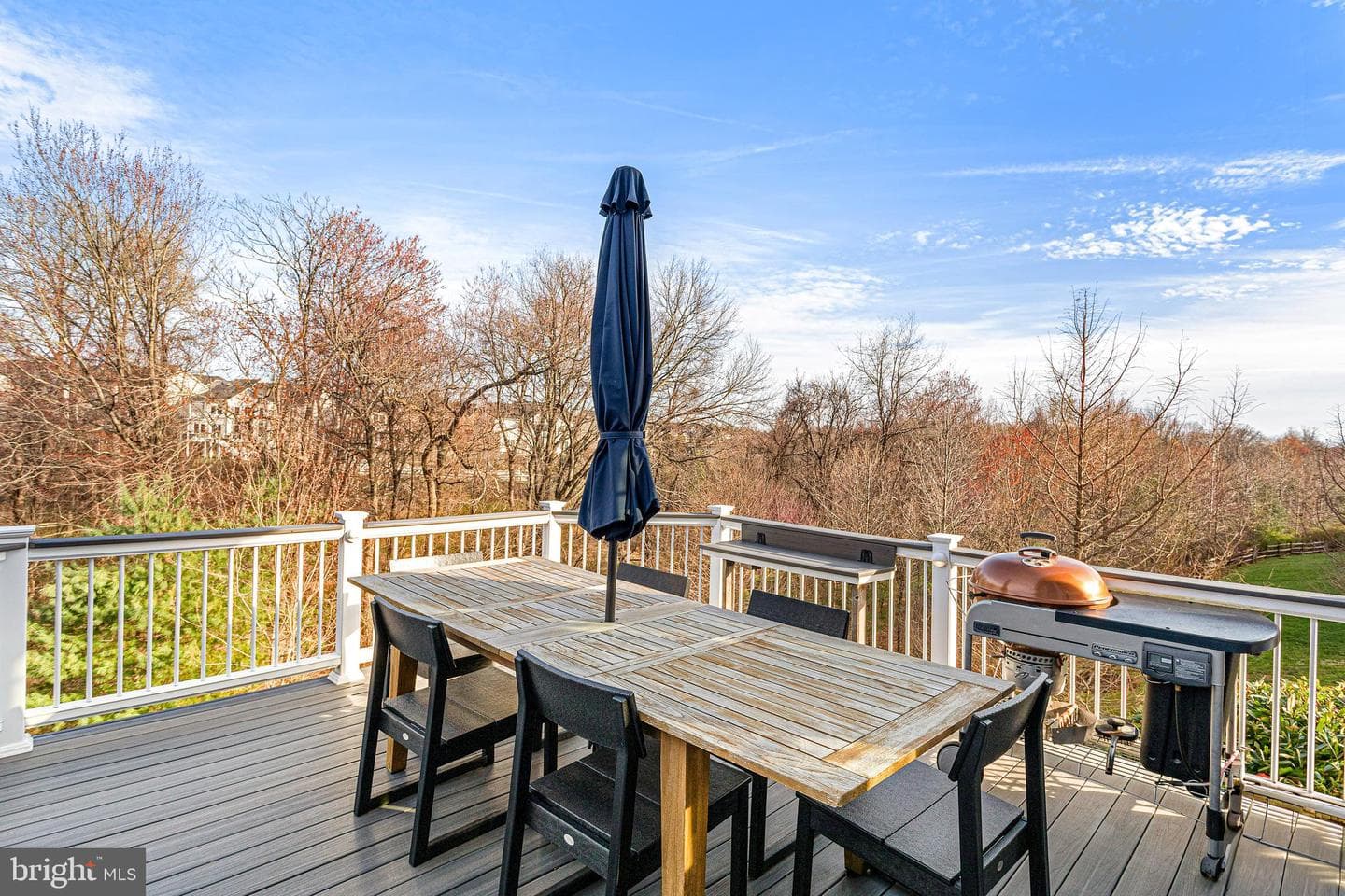 22531 Winding Woods Way photo 22