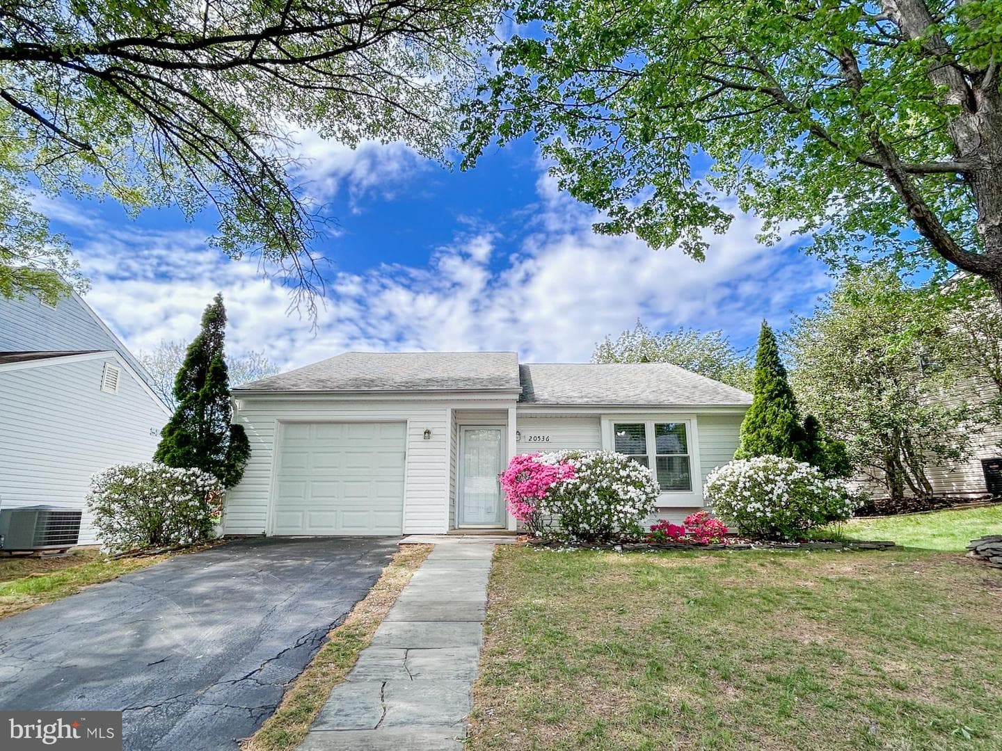 20536 Neerwinder Street photo 9