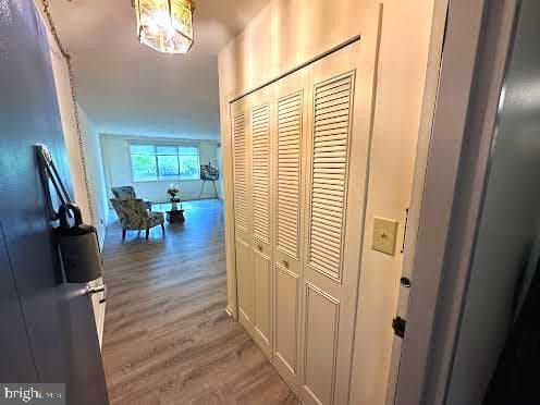 4977 Battery Lane #1-203 photo 11