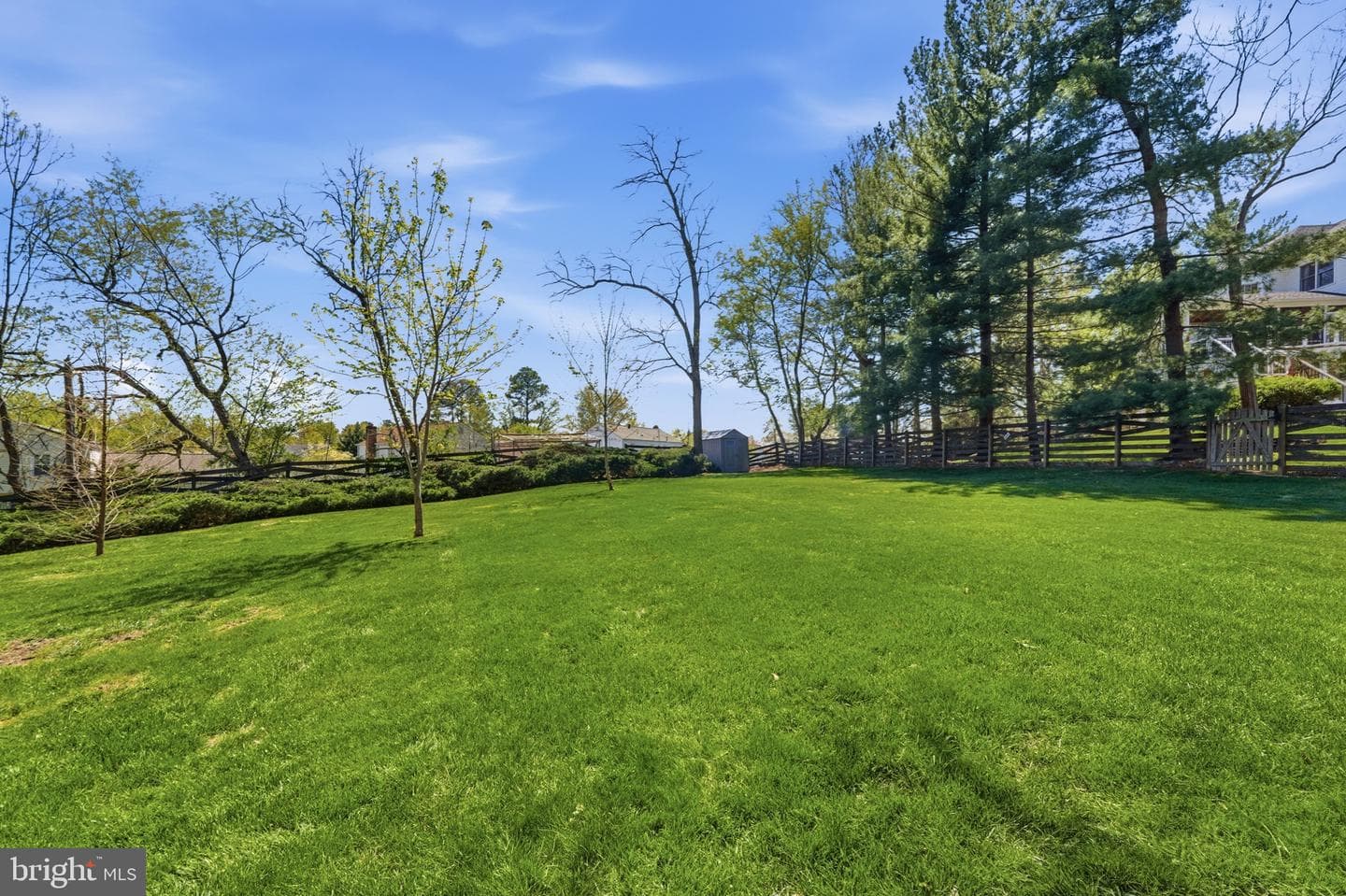 15540 Peach Leaf Lane photo 48