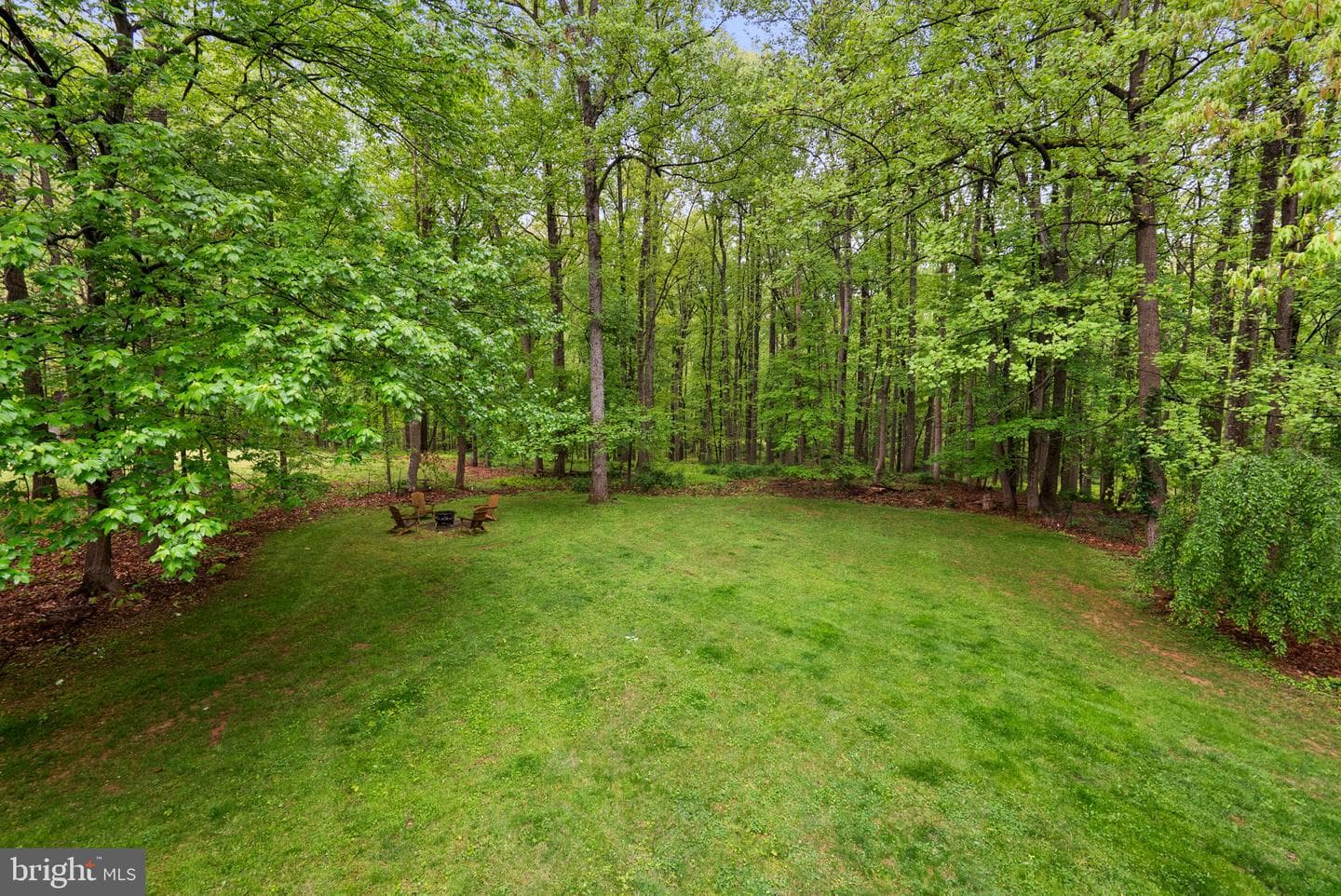 19006 Raines Drive photo 62