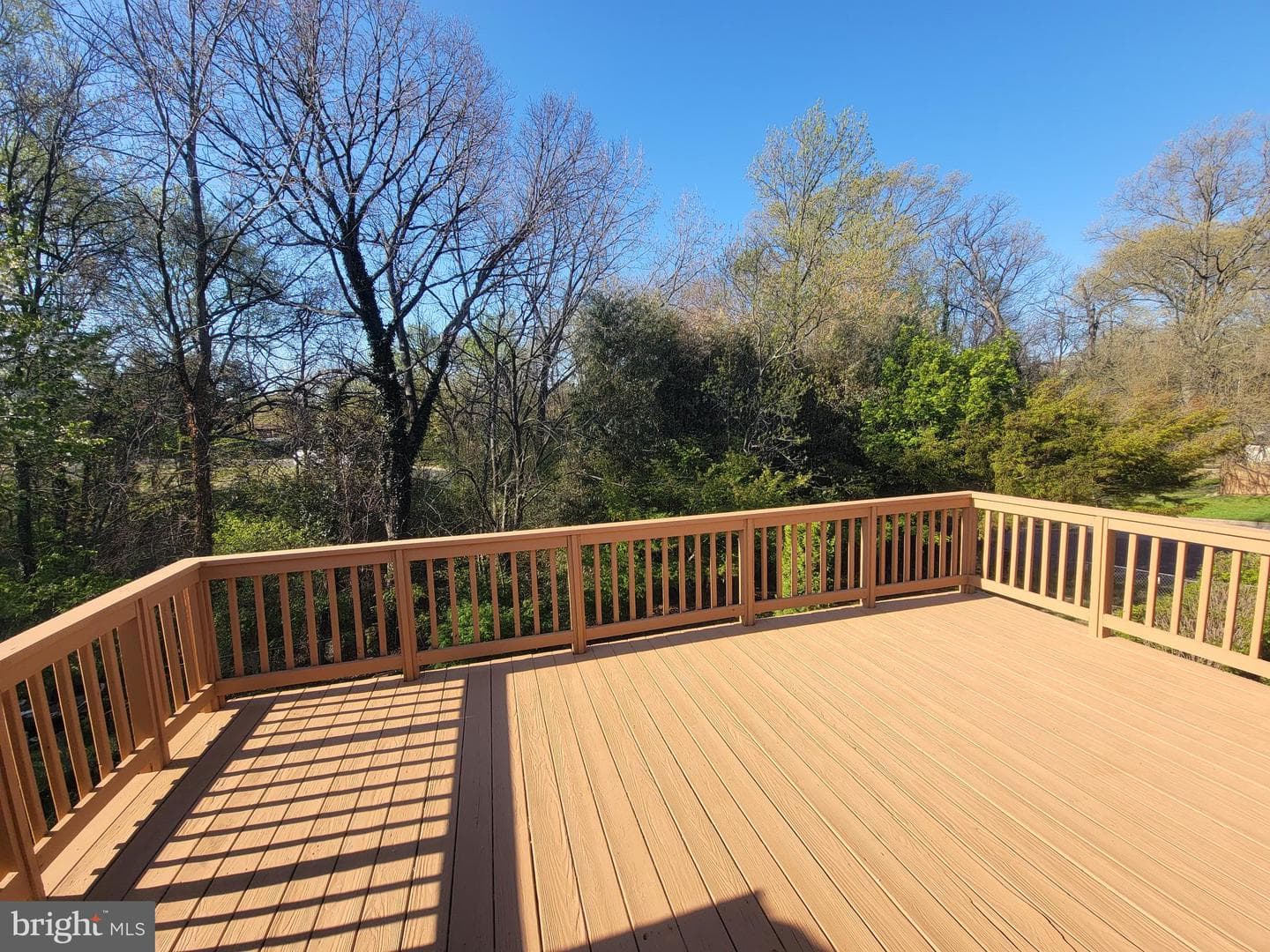 8112 Shady Spring Drive photo 5