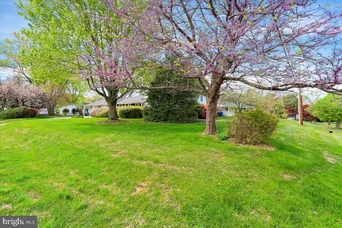 7101 Blanchard Drive photo 37