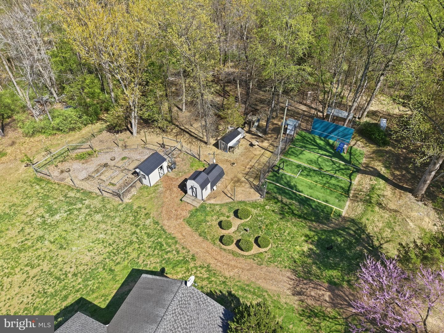 13505 Deakins Lane photo 6
