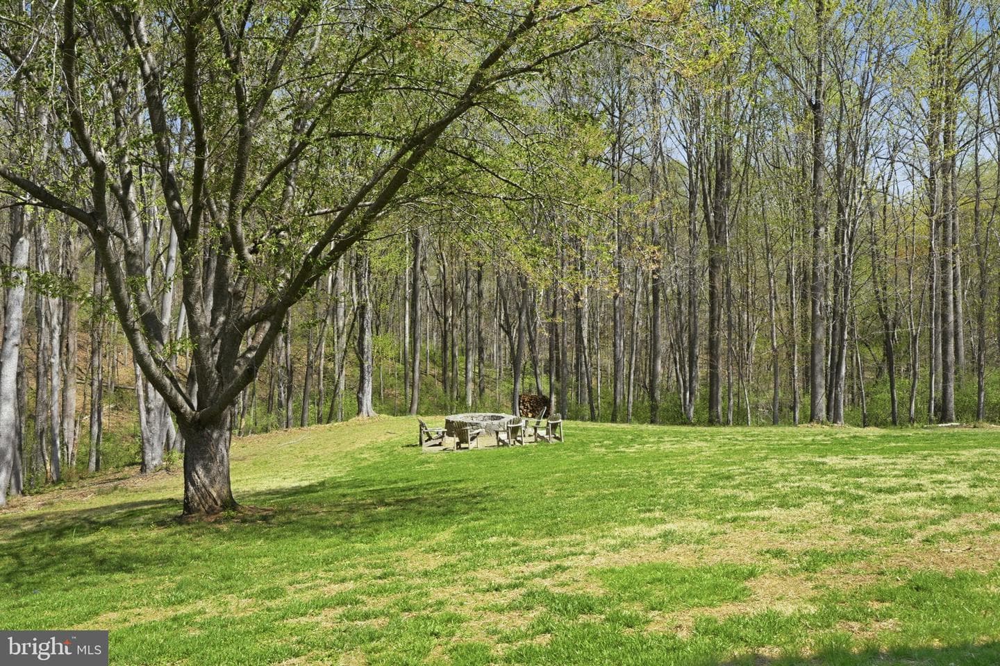 13505 Deakins Lane photo 92
