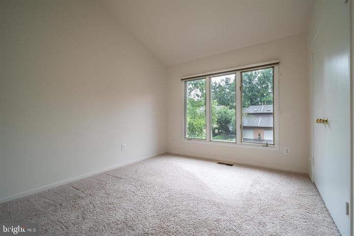 7815 Whiterim Terrace photo 17