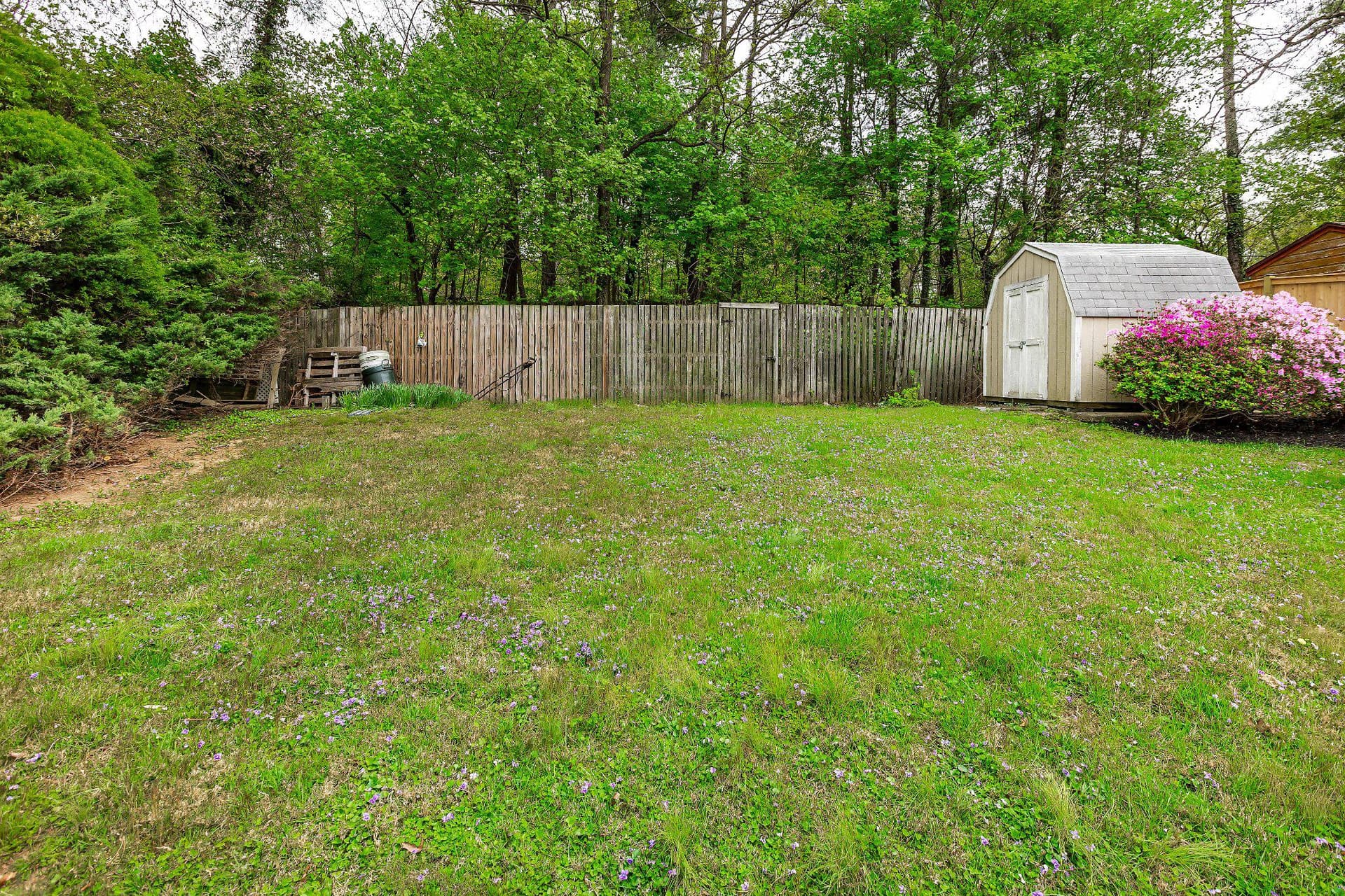 210 Hardy Place photo 5