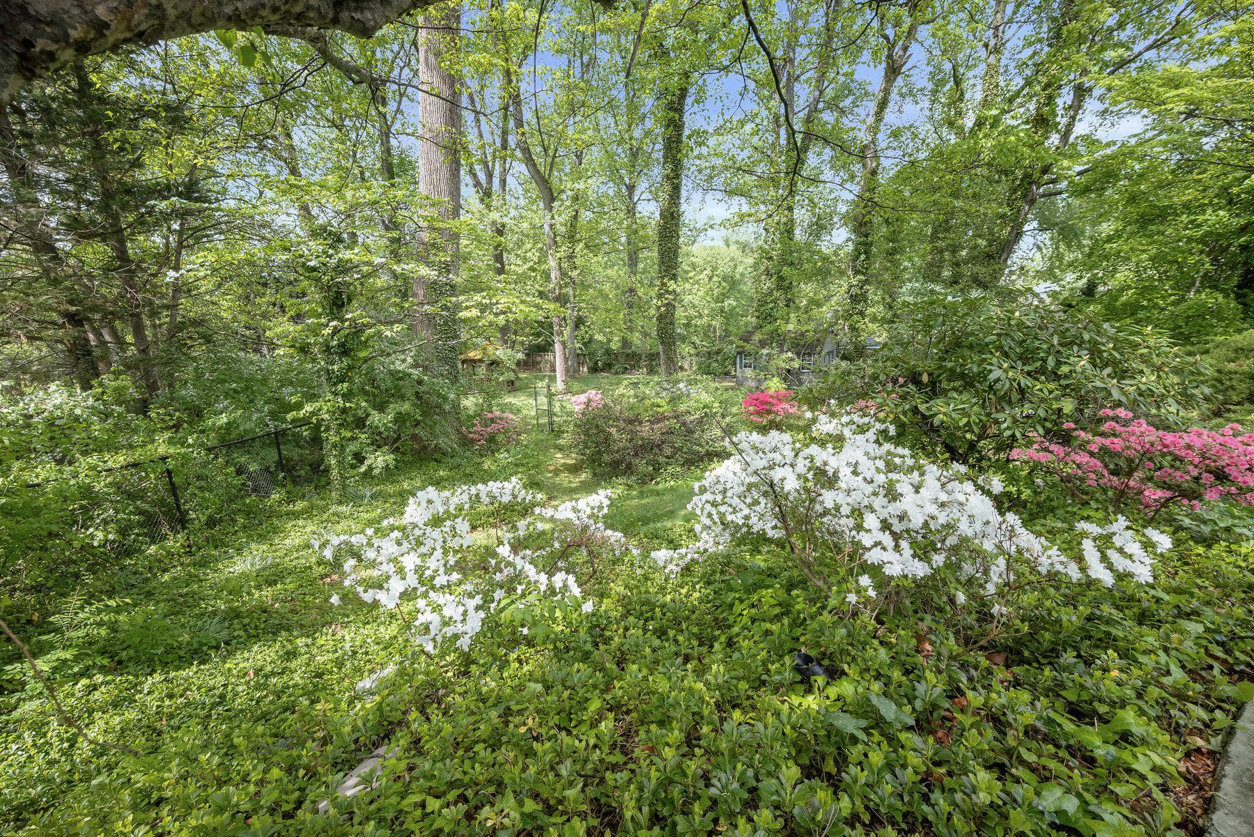 7104 Oak Forest Lane photo 36