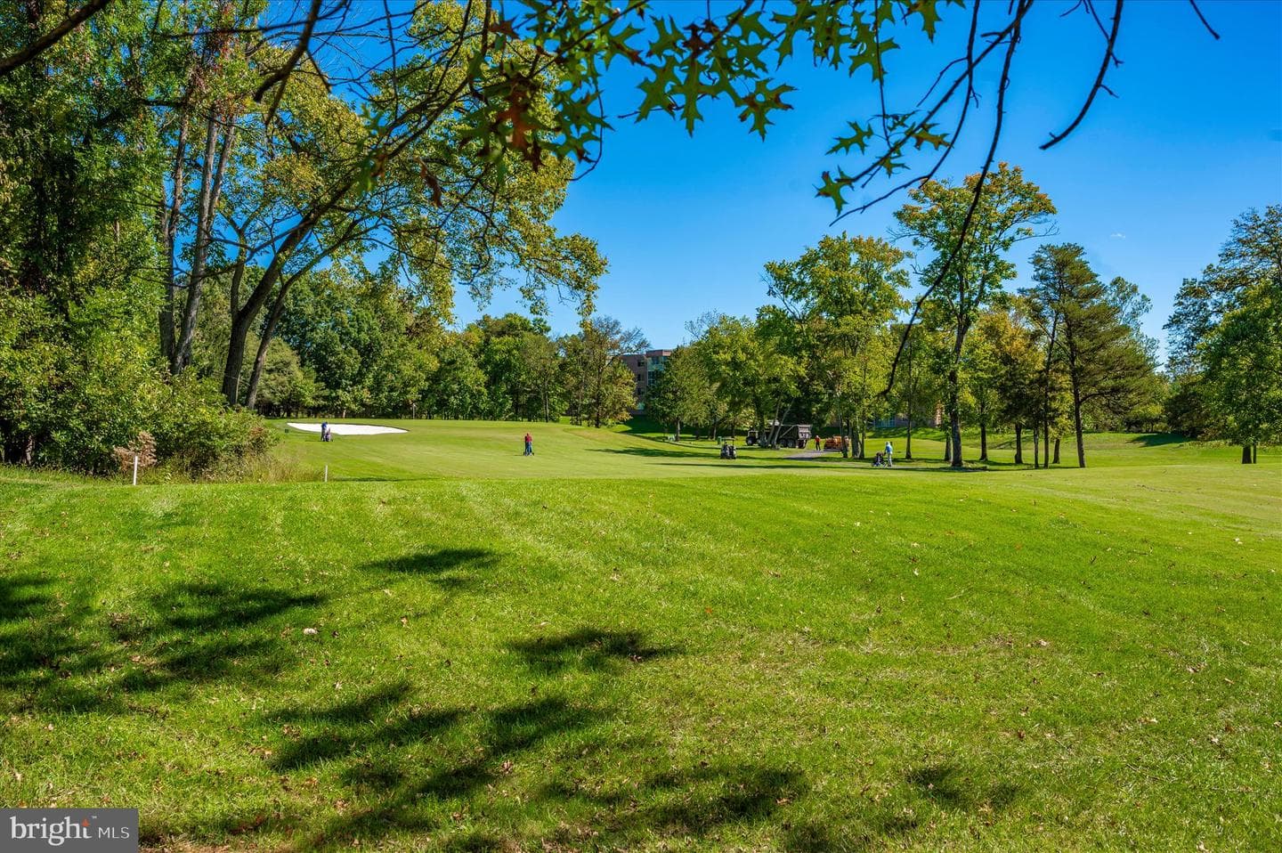 3261 S Leisure World Boulevard #108-F photo 70